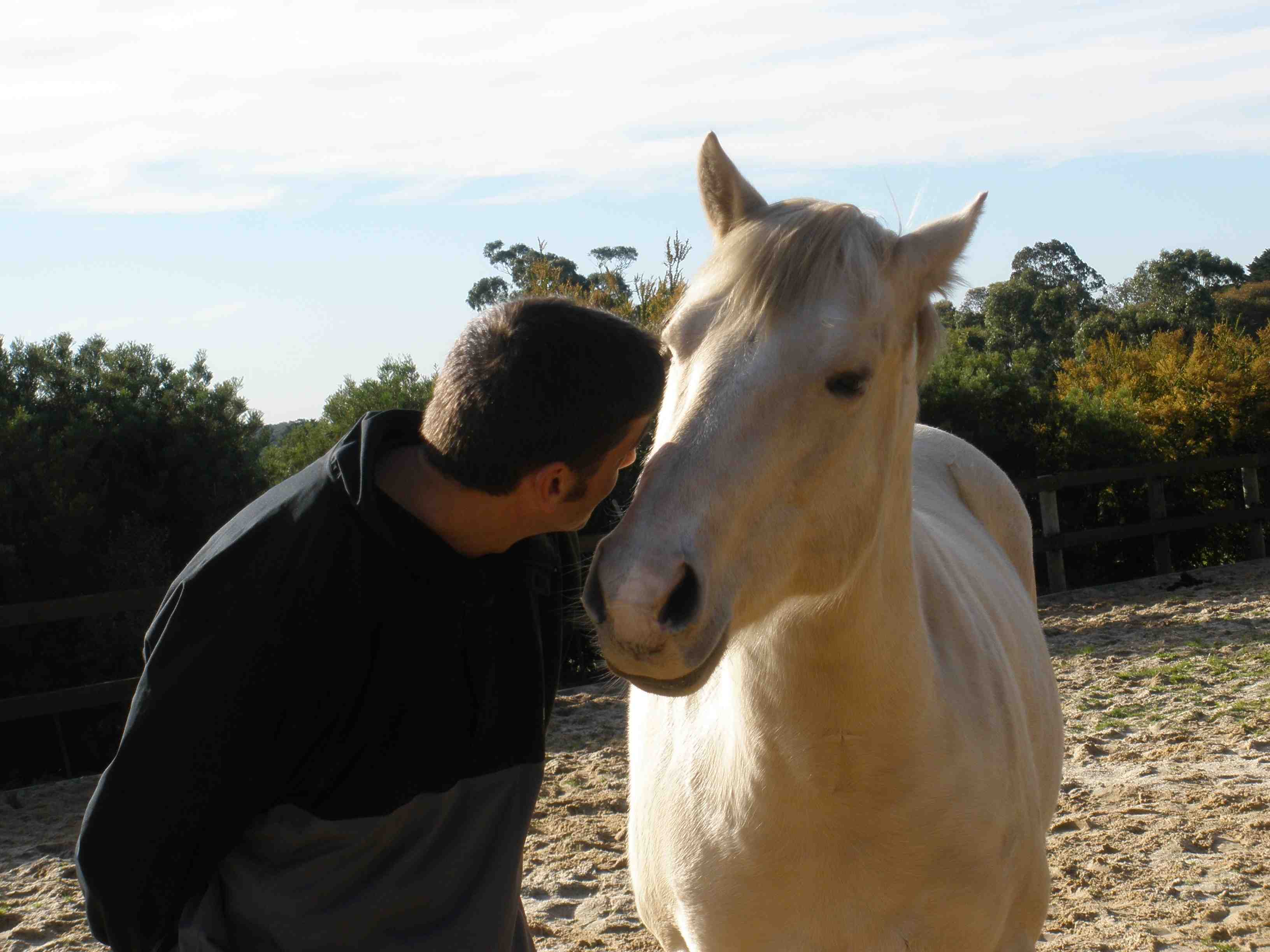 Ned and Luka1