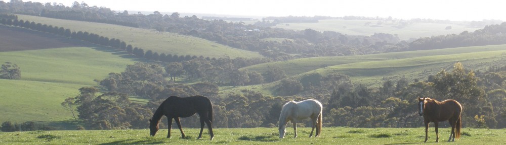 Grazing in springtime